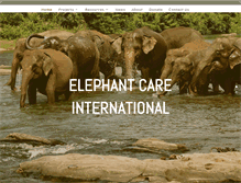 Tablet Screenshot of elephantcare.org